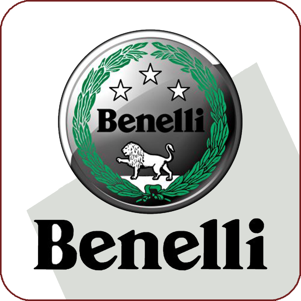 Benelli ECU-flash