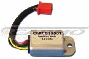 CARCD19001 CARCD19001
